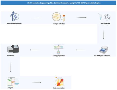 Next-Generation Sequencing to Elucidate the Semen Microbiome in Male ...