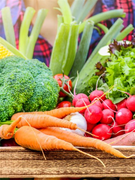 Seasonal fruits and vegetables that are good for you | Times of India