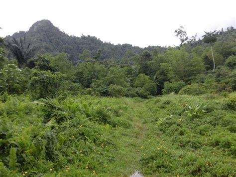 Dumalag Tourism (2024): Best of Dumalag, Philippines - Tripadvisor