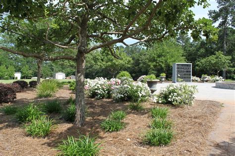 Our Locations | Allen & Allen Funeral Home and Crematory