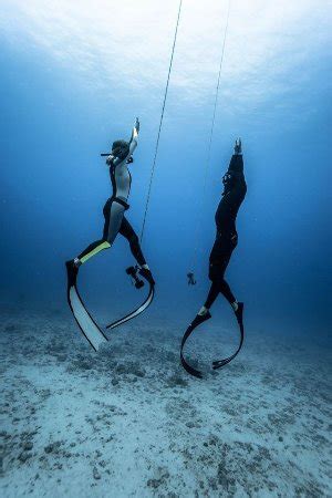 Deep Freediving Instruction (Kailua-Kona) - All You Need to Know BEFORE ...
