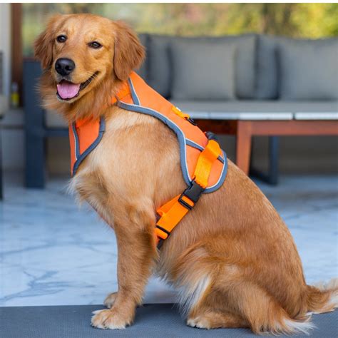 Orange Dog Harness – Pawpourri
