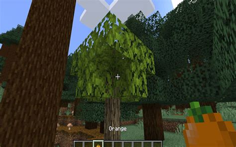 Simple Farming Mod Survival 的图像结果