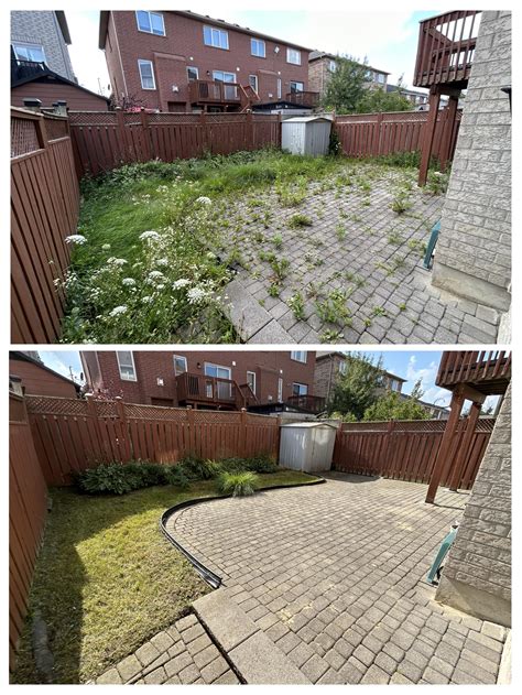 Messy Yard Before And After