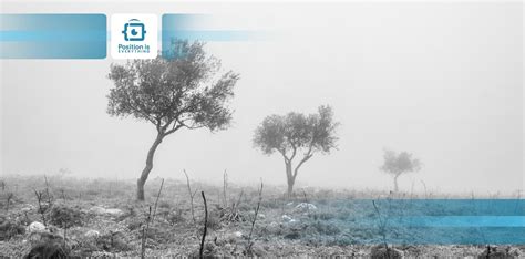 Image result for How to Add a Fade in Animation to a HTML Website