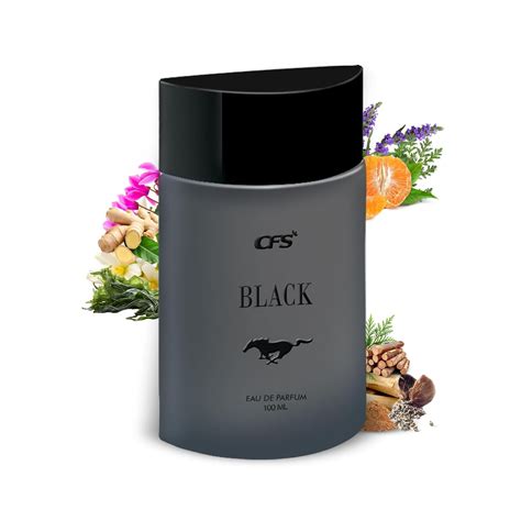 Buy CFS CREATIVE FRAGRANCE SERIES Cfs Black Eau De Liquid Fresh Parfum ...
