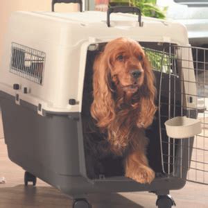 Smart Pups Heavy Duty Dog Airline Travel Flight Crate Carrier Kennel ...