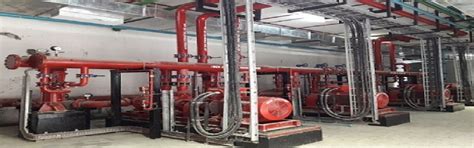 Synergy Firesec \ Services