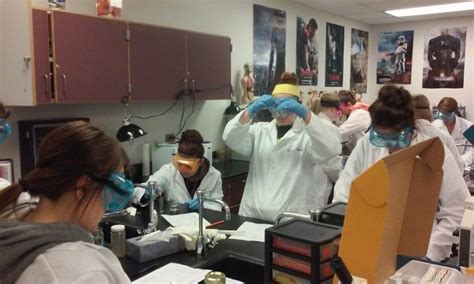 PLTW Biomedical Science 的图像结果