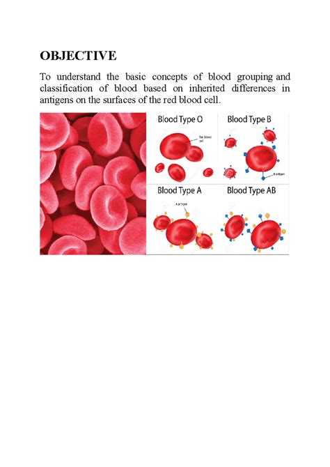 ABO Blood Grouping cbsebiology 4u - OBJECTIVE To understand the basic ...