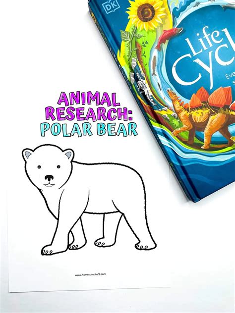 Free Polar Bear Life Cycle Worksheets