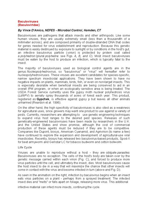 Baculoviruses - Baculoviruses (Baculoviridae) By Vince D'Amico, NEFES ...