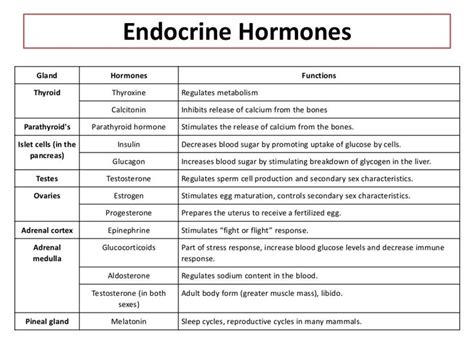 Image result for Endocrine System Table