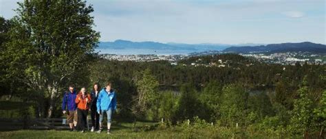 Nature Tours - Day Trips (Trondheim) - 2022 What to Know Before You Go ...