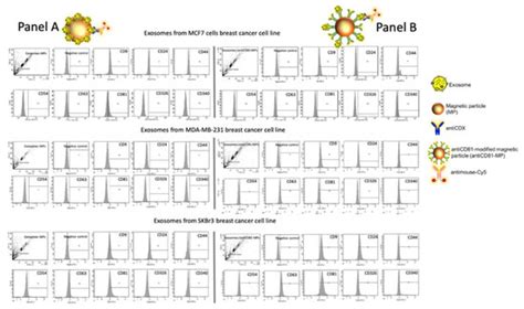 Matrix Effect in the Isolation of Breast Cancer-Derived Nanovesicles by ...