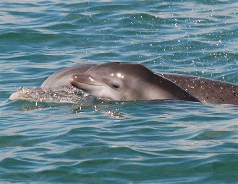 BLUE WAVE ADVENTURES (2026) All You Need to Know BEFORE You Go (with ...