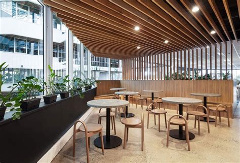 Image result for Timber Manufacturing Process