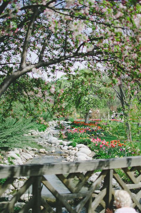 Tulip Festival | Thanksgiving Point | Lehi | The Salt Project