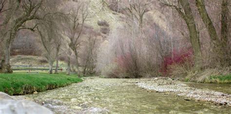 Image result for Fake Spring Seattle