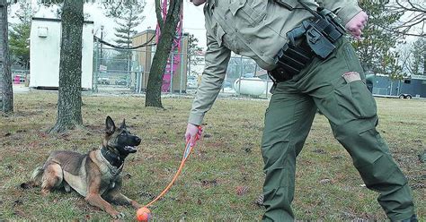 In age of legalized pot, ‘Blitz’ joins the State Police force – Shaw Local