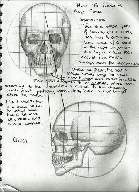 Image result for Skull Drawing Tutorial