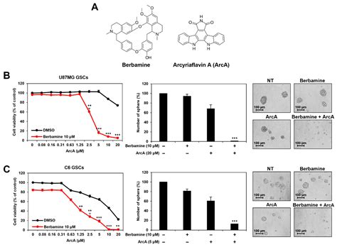 Synergistic Anticancer Effect of a Combination of Berbamine and ...