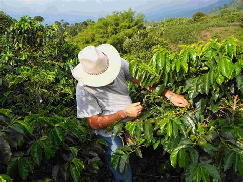 Visiting Local Communities 的图像结果