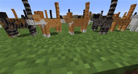 Image result for Cat Minecraft Mods