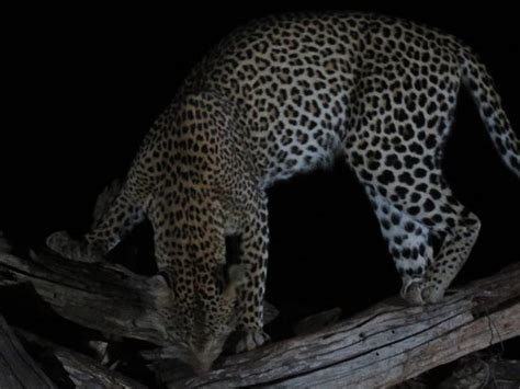 Excursions Bahati KENYA (Watamu) - All You Need to Know BEFORE You Go