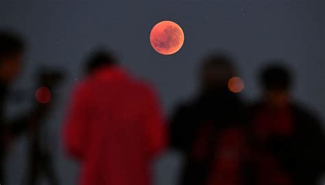 January Super Wolf Blood Moon: Total Lunar Eclipse Will Be Last Until ...