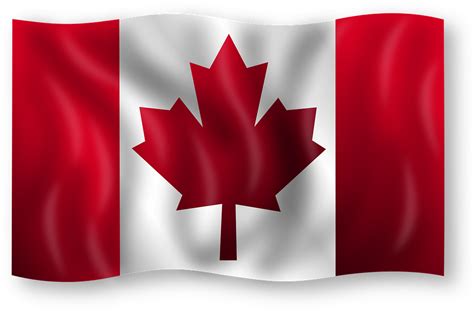 加拿大留学移民哪个专业最合适？