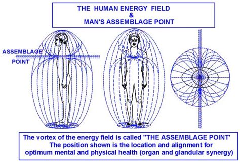 Human Energy Field Types 的图像结果