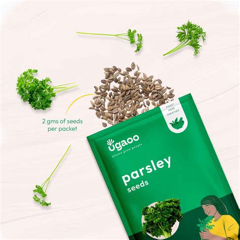 Buy Premium Herb Seeds Online in India- Grow Fresh Herbs at Home – Ugaoo