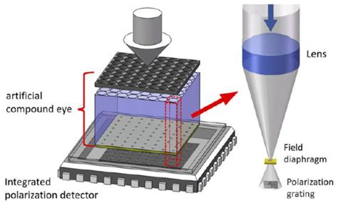 Biomimetic Polarized Light Navigation Sensor: A Review