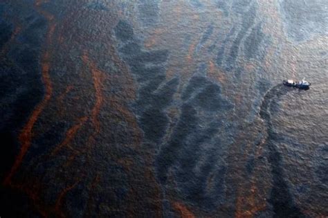 墨西哥湾原油泄漏至今未解决 污染日益加重