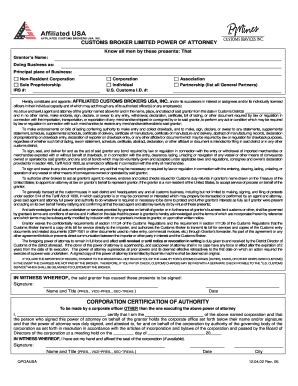 Fillable Online US Power of Attorney Form & Instructions - P. Mines ...