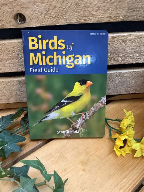 Birds of Michigan Guide Book - Sturgeon River Pottery