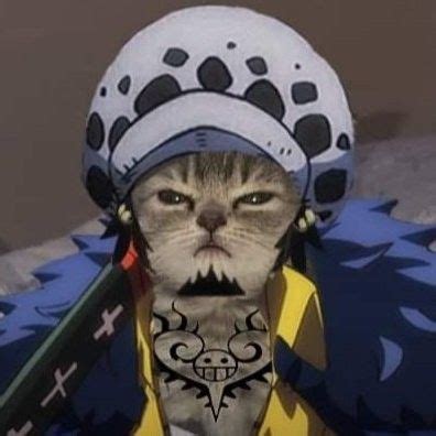 Law One Piece PFP 的图像结果