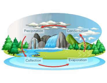 A Complete Overview of Rainwater Harvesting Methods and Techniques - NEER