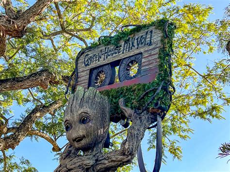 PHOTOS & VIDEOS: The NEW Groot Topiary Debuts in EPCOT - And it Plays ...