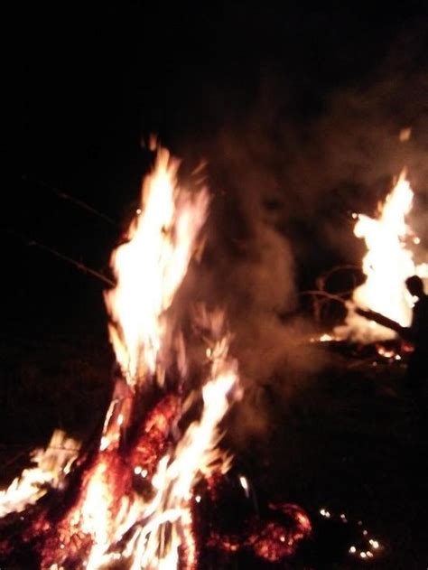 Legend Bar & Restaurant, India - Restaurant reviews