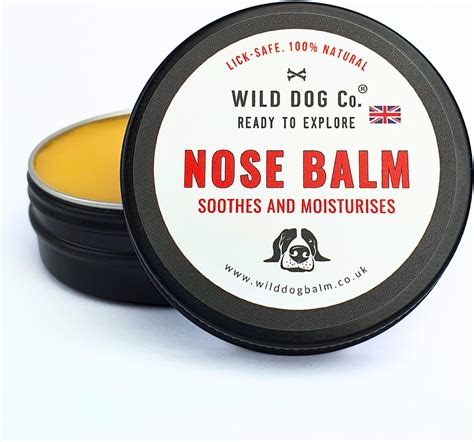 Dog Nose Balm for dry damaged noses works fast, snout soother repairs ...
