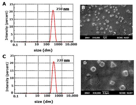 Amidated Pluronic Decorated Muco-Penetrating Self-Nano Emulsifying Drug ...