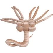 Image result for Alien Hugger Woman