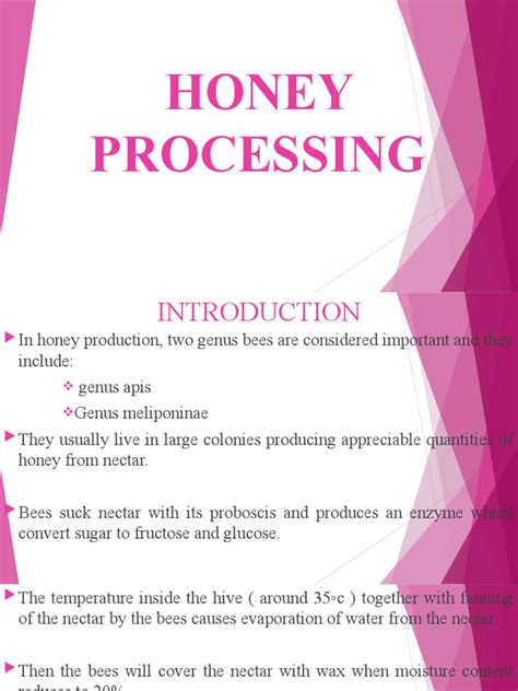 Image result for Basic Honey Processing