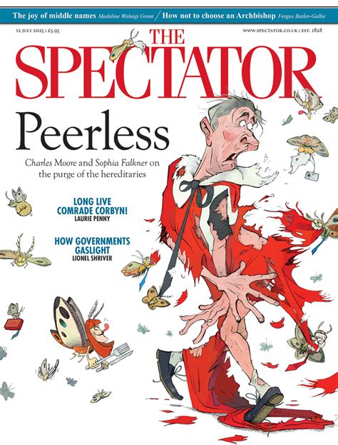 Spectator 的图像结果