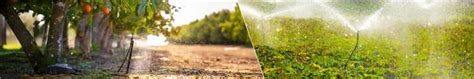 Maximize Crop Yield with Sprinkler Irrigation Systems
