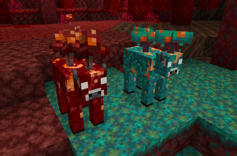 Image result for Minecraft Nether Tree Sapling