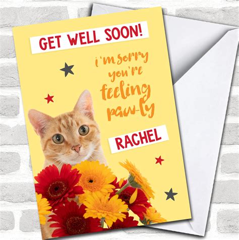Get Well Soon Meme Cat