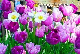 Image result for Beautiful Easter Photography